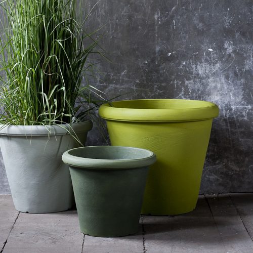 Vaso Camelia di Serralunga