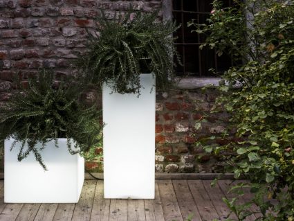 Vaso illuminato Cubotti Serralunga