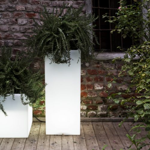 Vaso illuminato Cubotti Serralunga