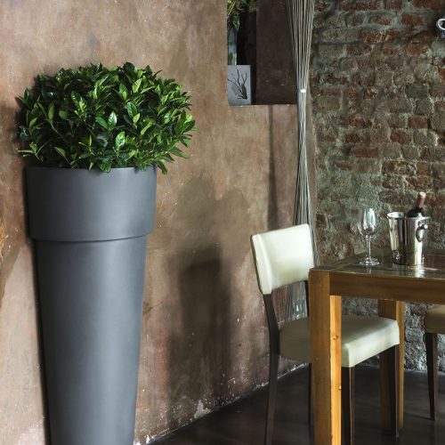 Vaso Marcantonio Au Mur di Serralunga