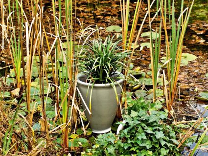 Vaso da giardino Serralunga Santavase