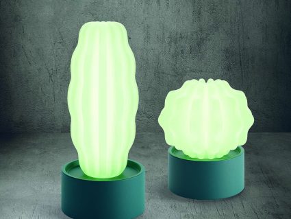 Arredo con luce cactus di Serralunga