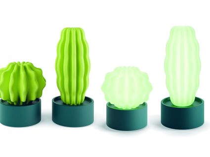 Arredo con luce cactus di Serralunga