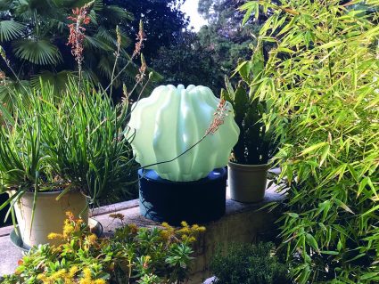 Arredo con luce cactus di Serralunga