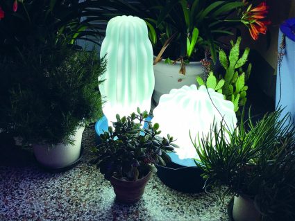 Arredo con luce cactus di Serralunga